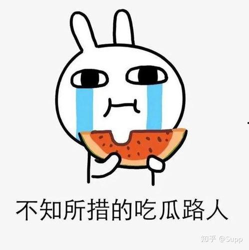 娱乐吃瓜酱东北老铁,东北老铁的娱乐吃瓜日常